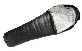 Quantum 350 bag